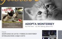 Adopta Monterrey Monterrey