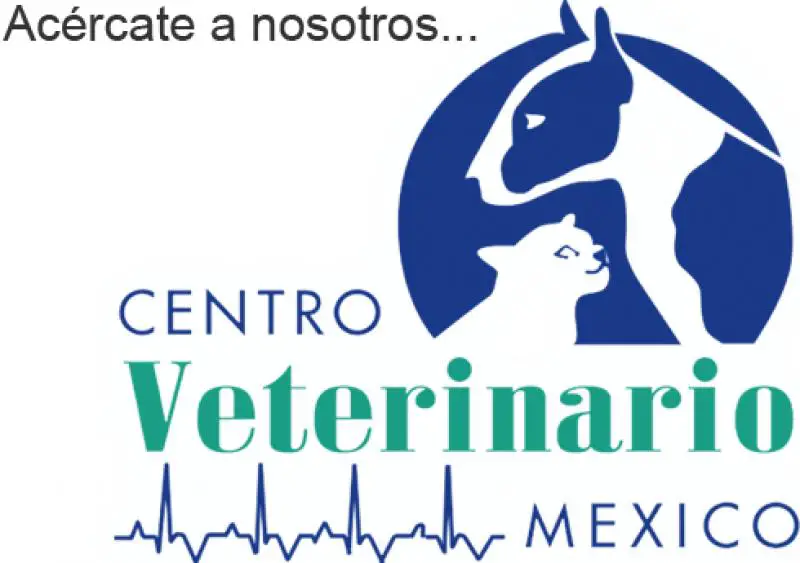 Centro Veterinario México