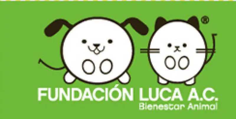 Fundación Luca