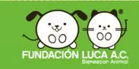 Fundación Luca Monterrey