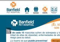 Banfield Hospital Veterinario 