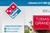 Domino's Pizza Tampico