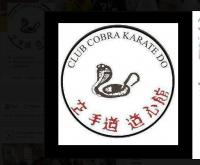 Club Cobra Karate Do Ciudad de México