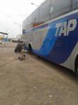 Autobuses TAP Nogales