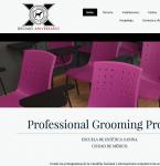 Professional Grooming Program Ciudad de México