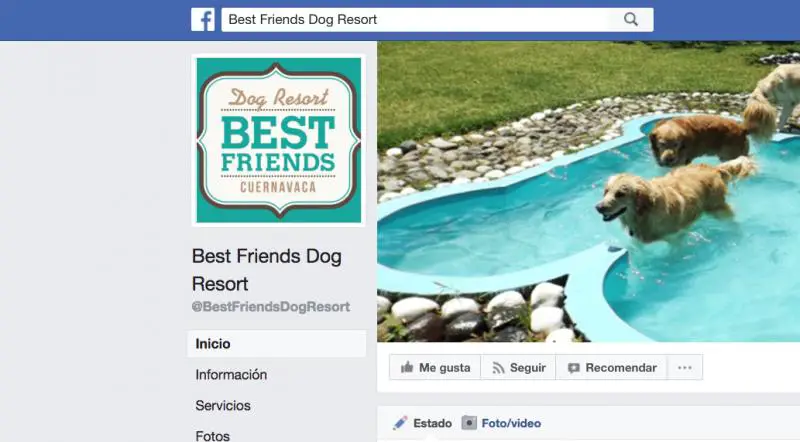 Best Friends Dog Resort