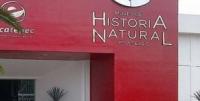 Museo de Historia Natural Ecatepec de Morelos