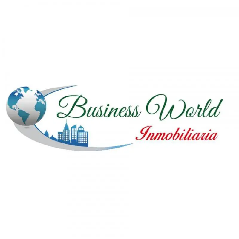 Business World Inmobiliaria 