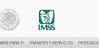 IMSS Guadalajara