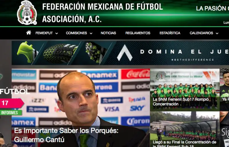 Federación Mexicana de Fútbol
