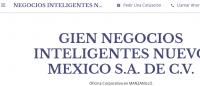 Negocios Inteligentes Nuevo Mexico Guadalajara